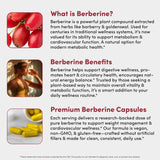 Vital Peak Berberine HCL 1000 mg – emballage soigné et fiable.