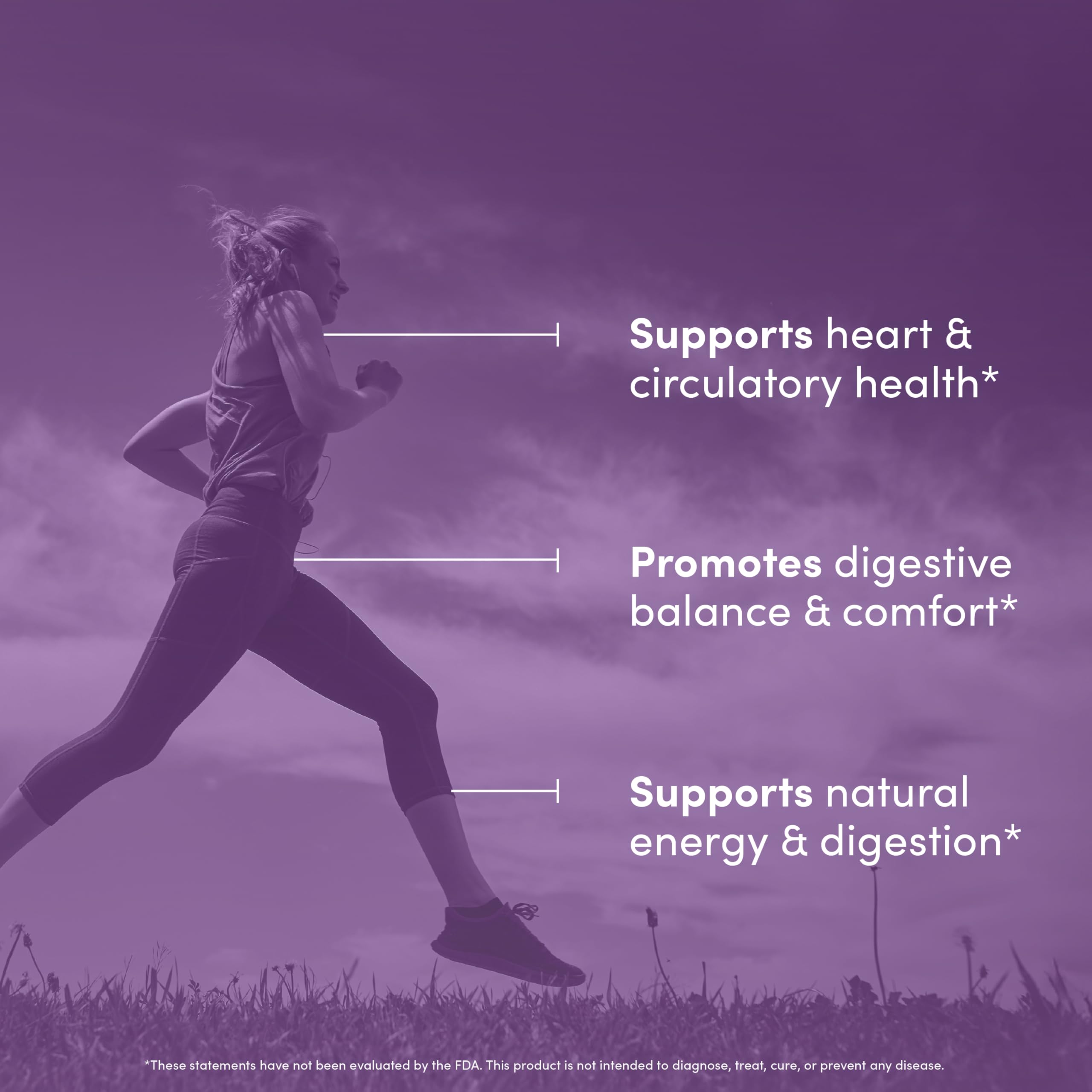 Vital Peak Berberine HCL 1000 mg – étiquette lisible vérifiant la composition.
