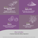 Vital Peak Brain Peak : concentration accrue lors des journées exigeantes.