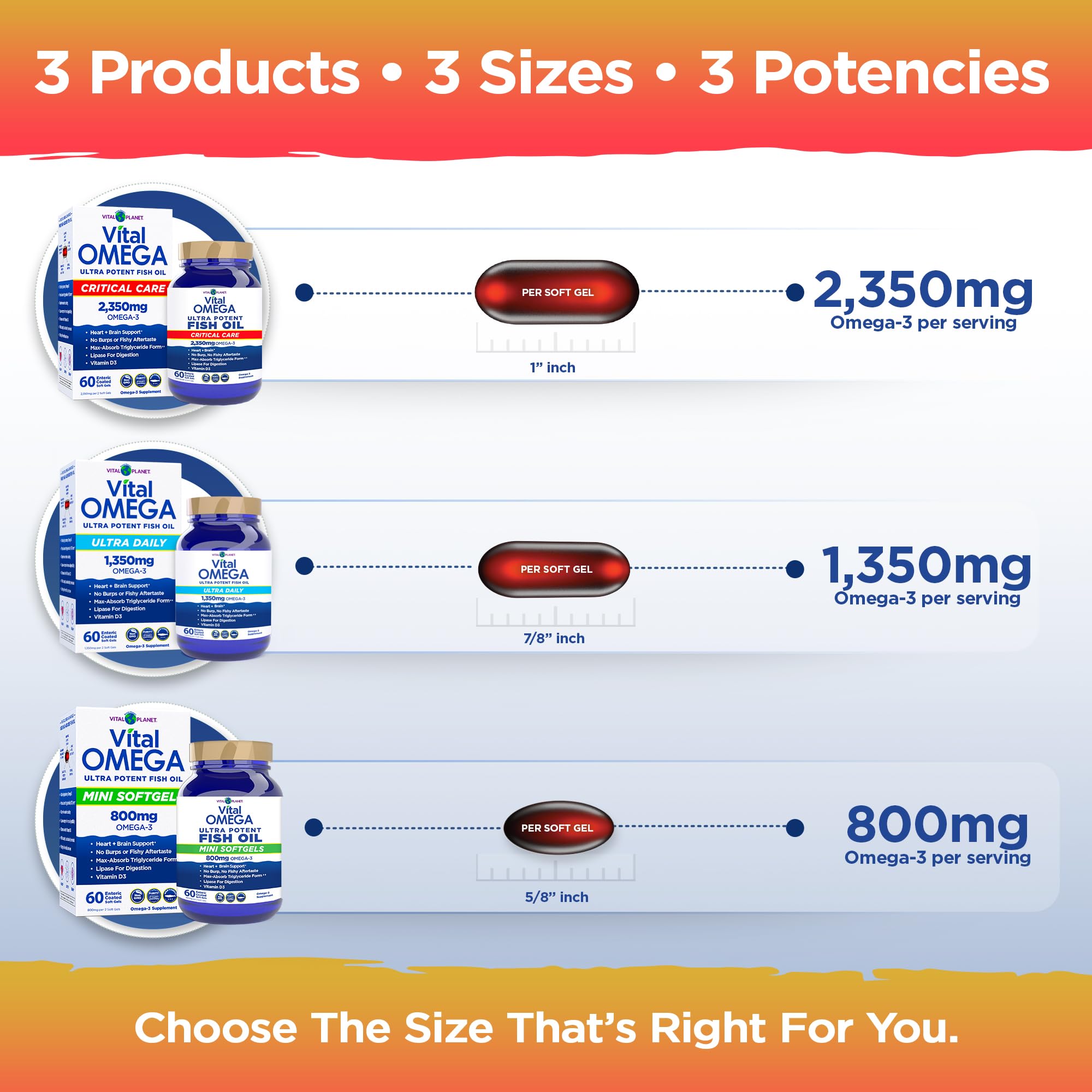 Vital Planet Omega-3: utilisation quotidienne possible pour énergie et concentration.