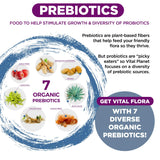 7 prébiotiques organiques nourrissent les probiotiques Vital Flora.