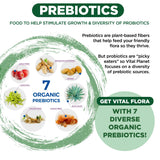 Vital Flora – Formule vegan: sans lactose, sans gluten et sans soja.
