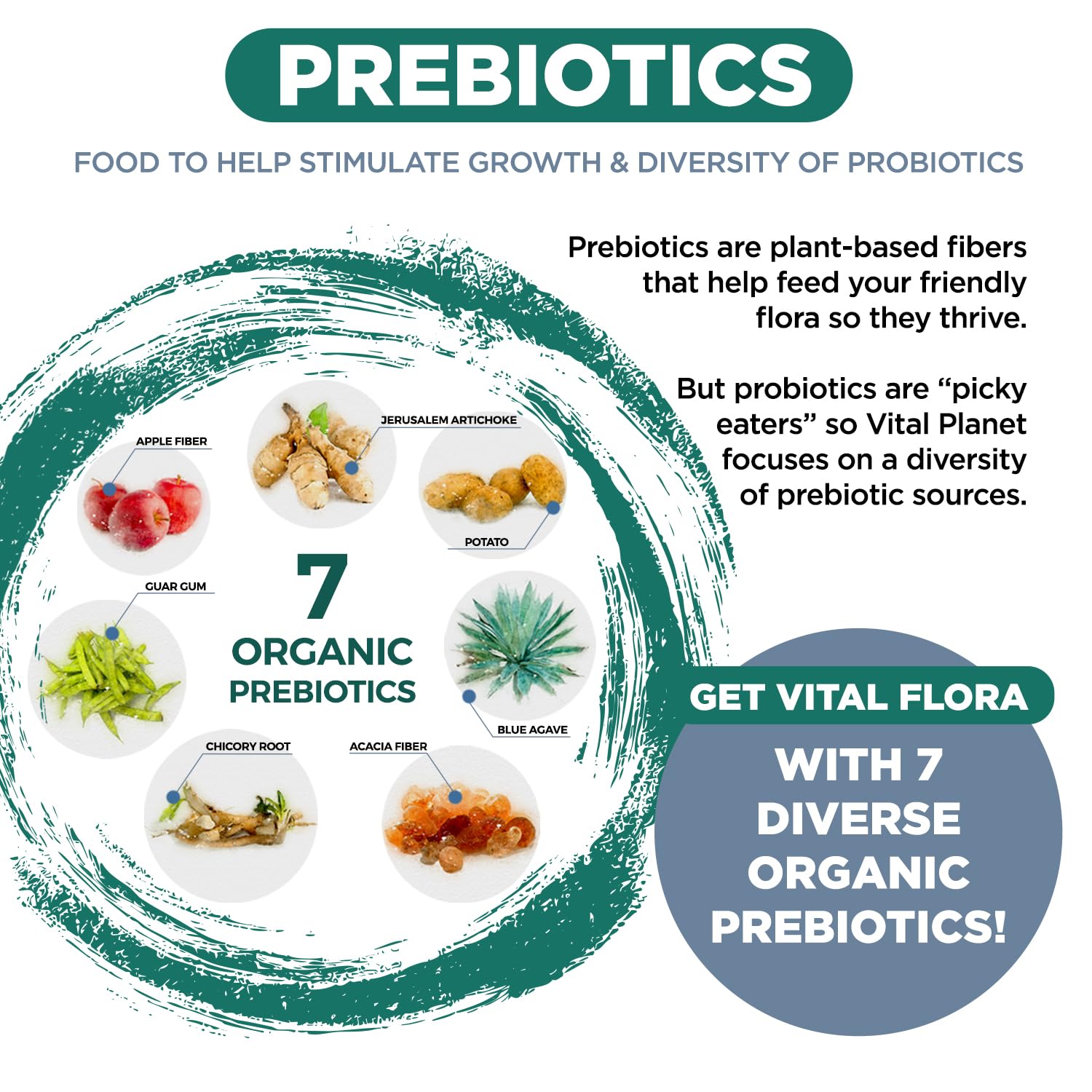 Vital Flora - champignons fonctionnels pour renforcer le mélange probiotique.