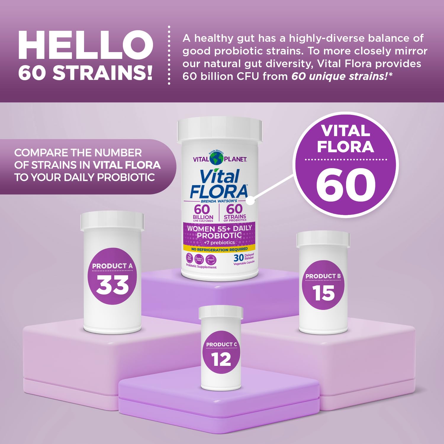 Schéma illustrant l'écosystème intestinal soutenu par Vital Flora.