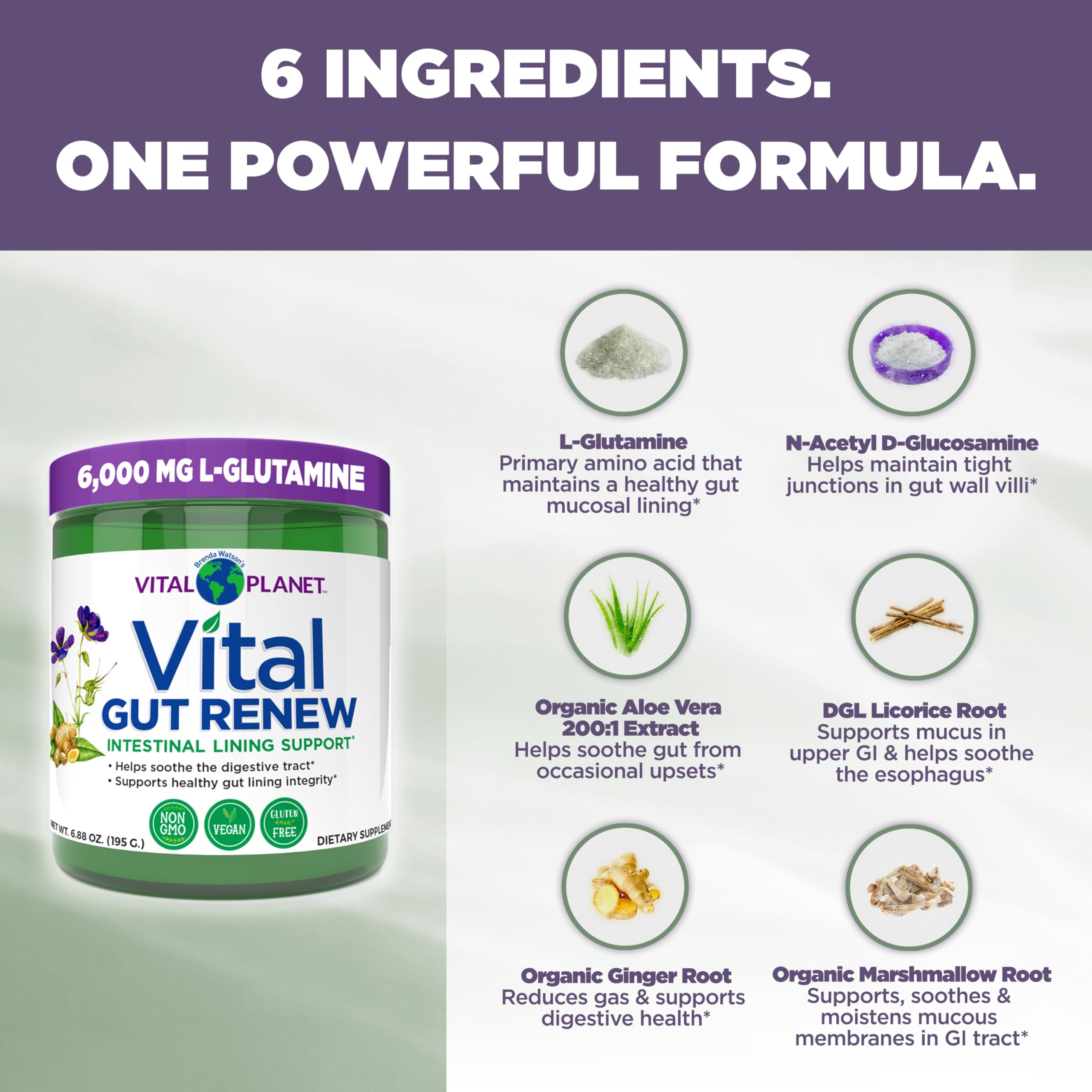 Dose matinale de Vital Gut Renew facilitant une routine digestive légère