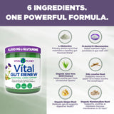 Dose matinale de Vital Gut Renew facilitant une routine digestive légère