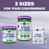 Verre prêt à recevoir Vital Gut Renew pour un apport doux