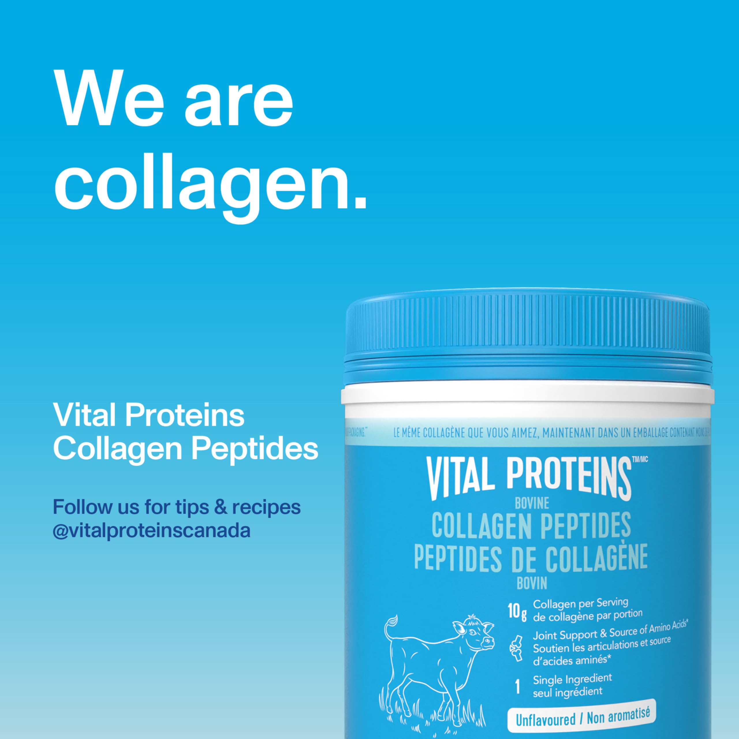 Vital Proteins Collagen Peptides emballage pratique : rangement facile et visuel clair.