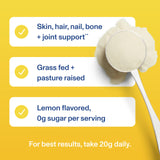Vital Proteins Collagen Peptides Poudre Citron – saveur rafraîchissante et zéro sucre