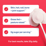 Vital Proteins Collagen Ice Pop myrtille – soutien potentiel des cheveux et des ongles