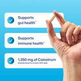 Gélules Vital Proteins Colostrum faciles à avaler pour votre routine bien-être