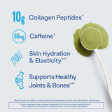 Vital Proteins Matcha Collagène Préparation Tasse Chaud : infusion chaude avec énergie douce