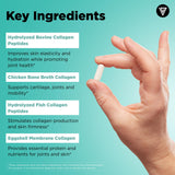 Vital Vitamins Multi-Collagène – Digeseb pour absorption améliorée.