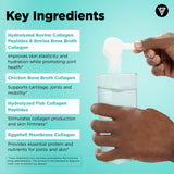 Vital Vitamins Poudre collagène multi, dose journalière pratique avec cuillère fournie.