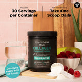 Vital Vitamins Poudre collagène multi, idéale pour café ou thé grâce au goût neutre.