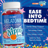 Vital+Boon Dippin Dots mélatonine – gomme fraise close-up, saveur agréable.