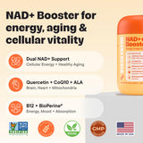 VitalForm NAD+ NMN NR – Capsules visibles, absorption améliorée grâce à BioPerine potentiellement efficace.