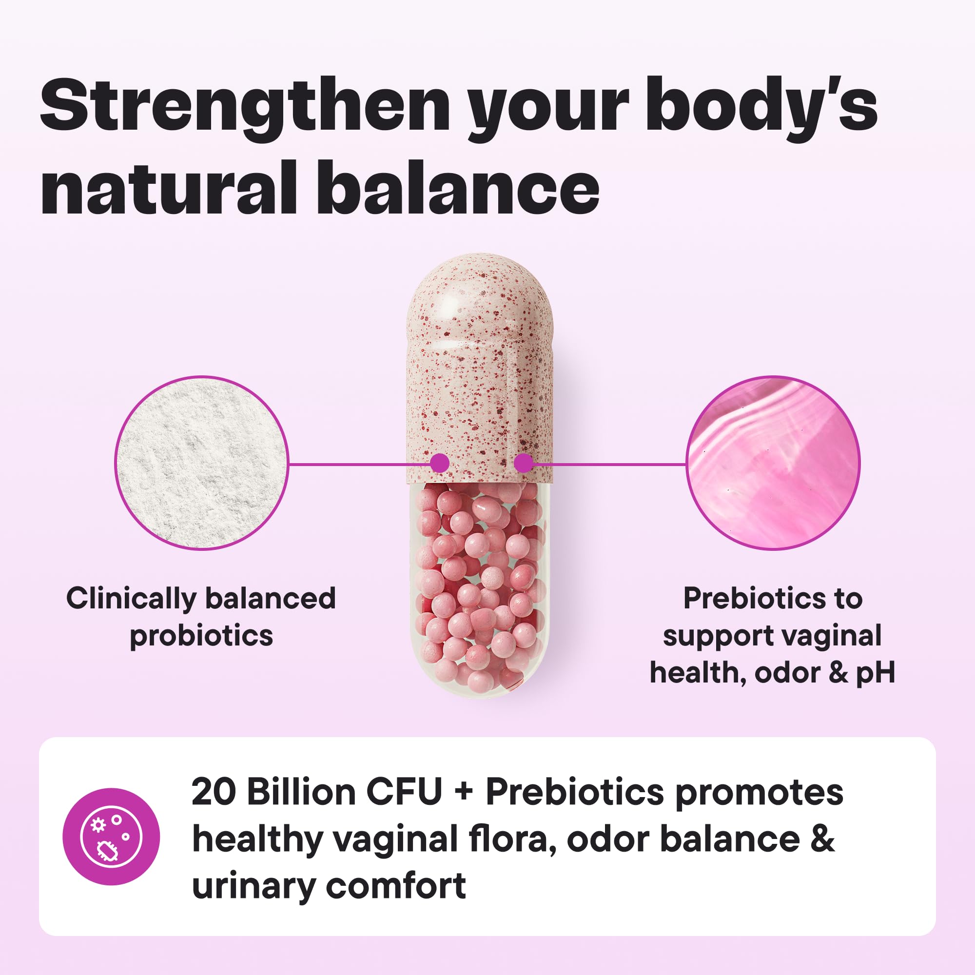 VitalForm prébiotiques et probiotiques: formulation complète pour l'équilibre quotidien.