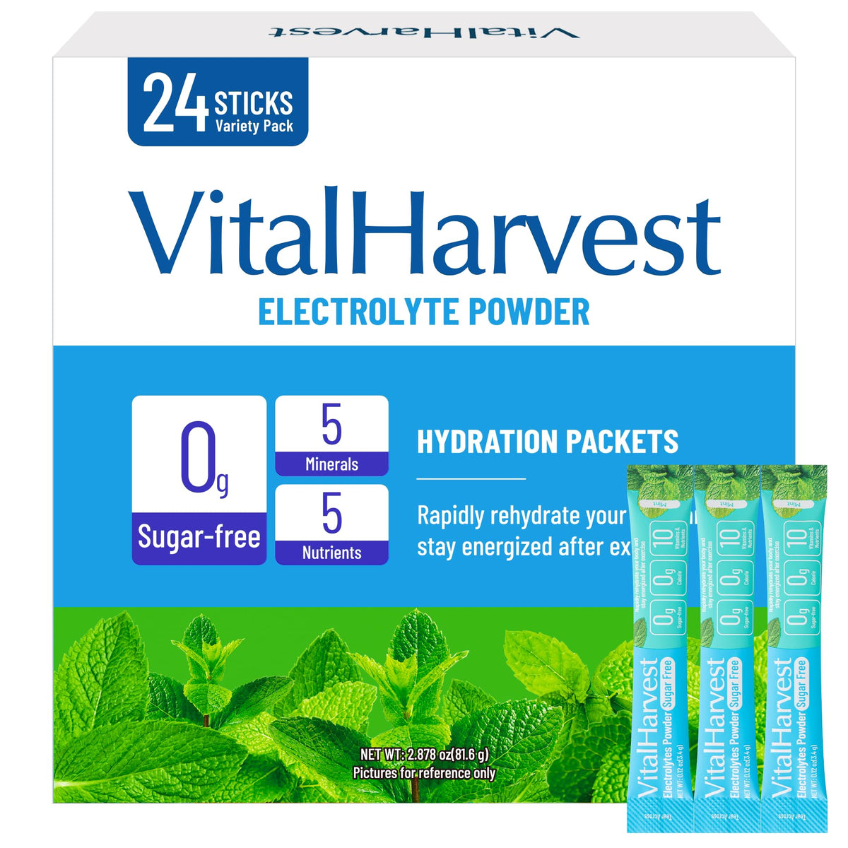 VitalHarvest sachets électrolytes menthe – hydratation rapide en déplacement et au travail