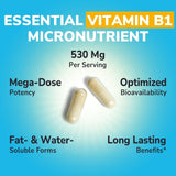 Bouteille Vitalibre de vitamines B1 et cofacteurs, format pratique.