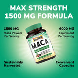Vitalibre Maca : gros plan sur les capsules, soutien de l’endurance quotidienne.