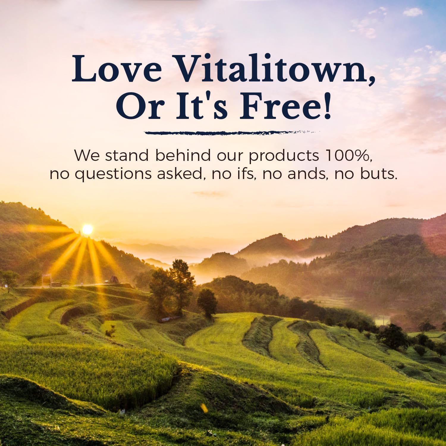 Vitalitown Curcuma vegan: formulation sans ingrédients d origine animale et sans gluten.