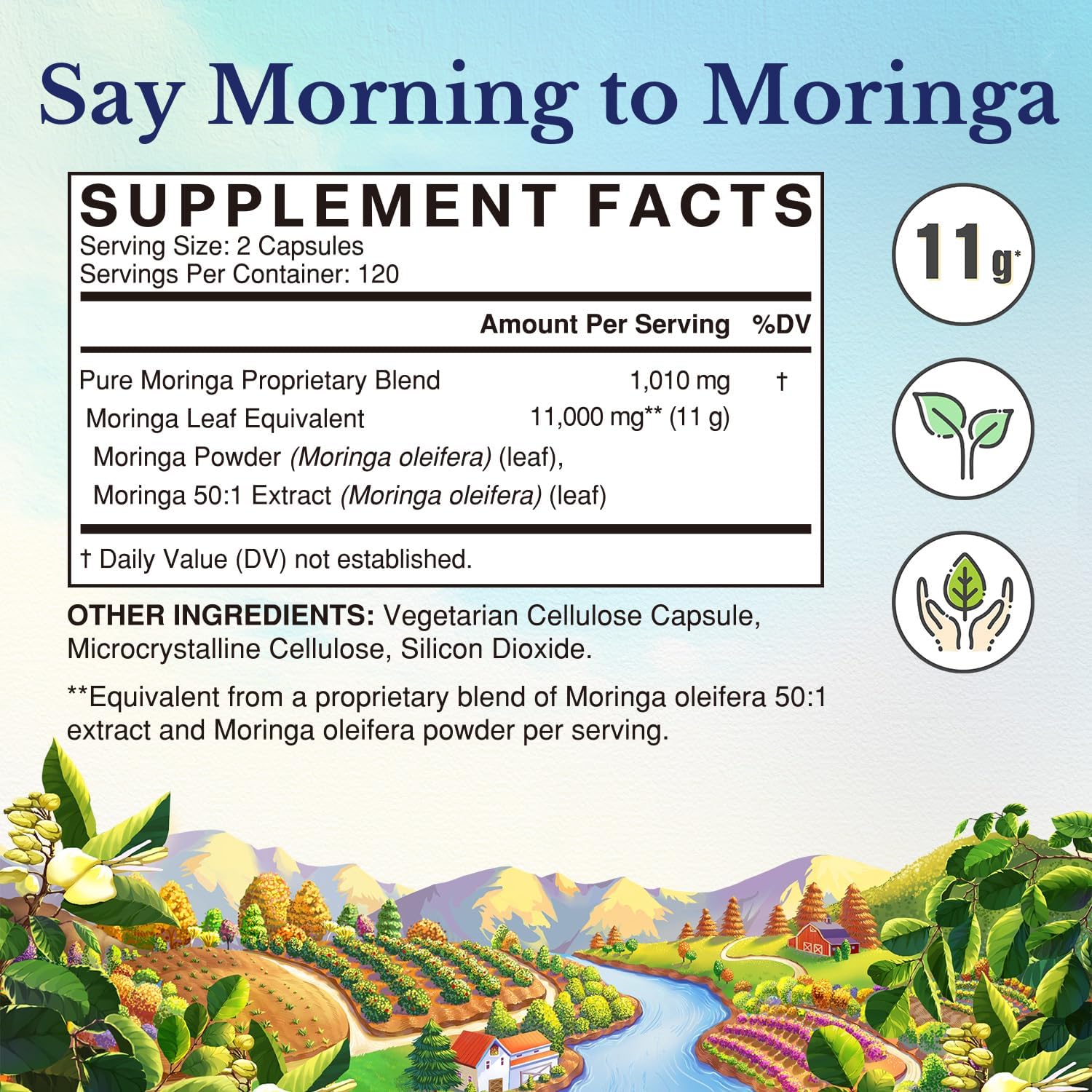 Capsules Vitalitown Moringa, dosage pratique pour routine énergie légère.
