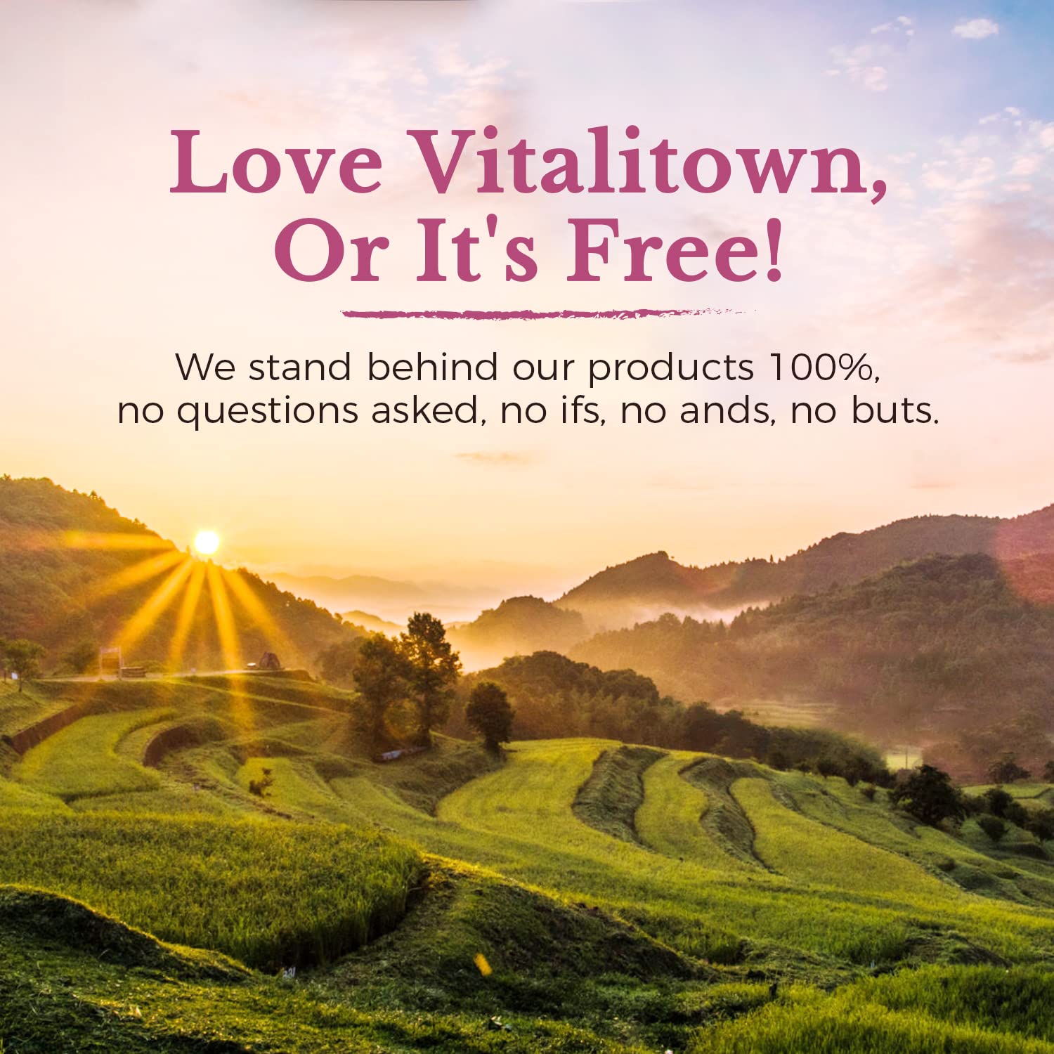 Vitalitown Probiotiques ensemble ingrédients – mélange naturel pour le quotidien.