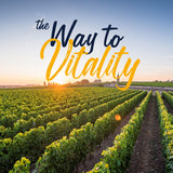 Vitalitown Probiotiques, bouteille stable, conservation longue et fiable.
