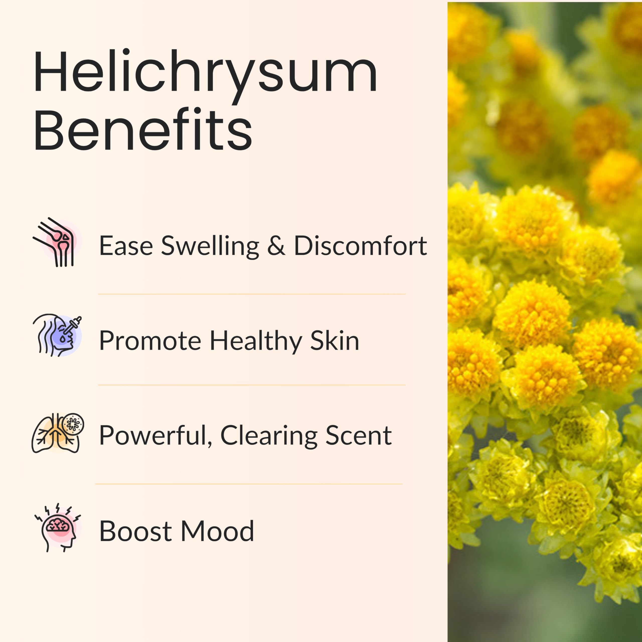 Vitality Helichrysum huile 30ml — utilisation locale en douceur pour peau sensible.