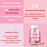 Source éco-responsable VitalityPeak collagène marin issus de sous-produits pêche