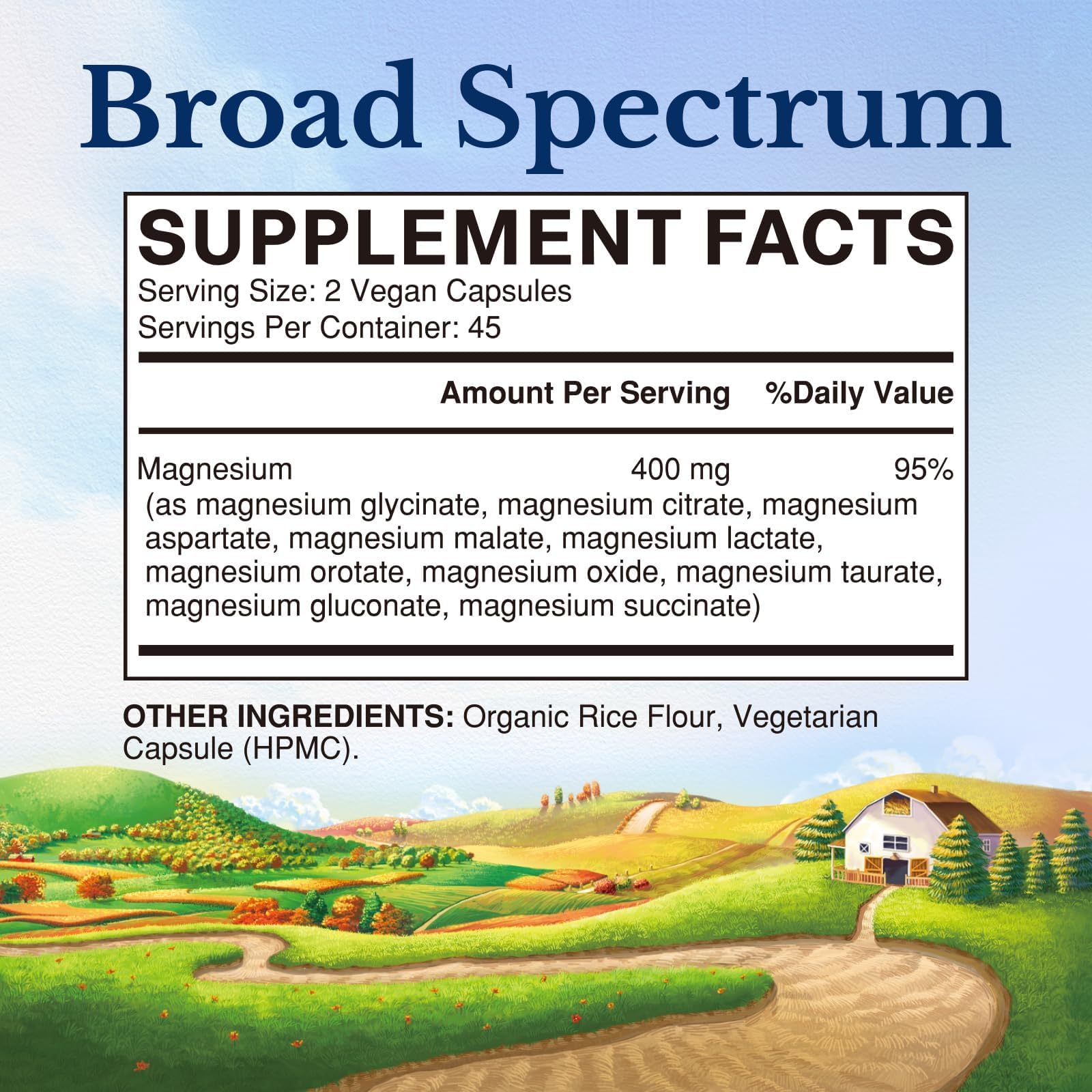 Vitalitown Magnésium capsules-dans-boîte, faciles à prendre, absorption efficace.