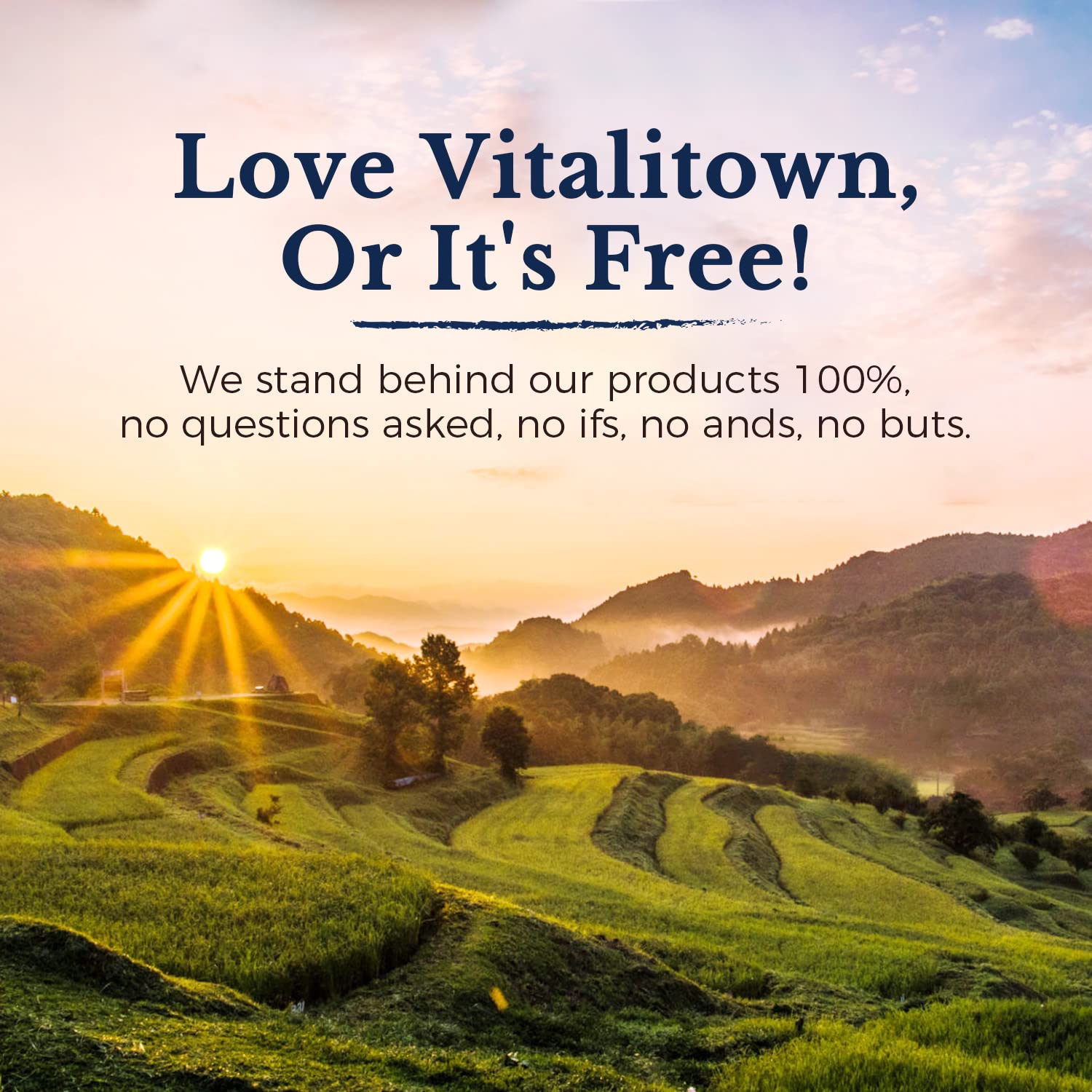 Vitalitown Zinc 50 mg: usage quotidien avec eau pour la routine bien-être.