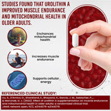 Vitalpha Urolithin A: capsules visibles, facile intégration dans la routine quotidienne.