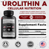 Vitalpha Urolithin A: tableau nutritionnel, informations claires sur les ingrédients.
