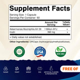 Vitamatic Akkermansia Muciniphila, capsules retardées visibles, protection des ingrédients.