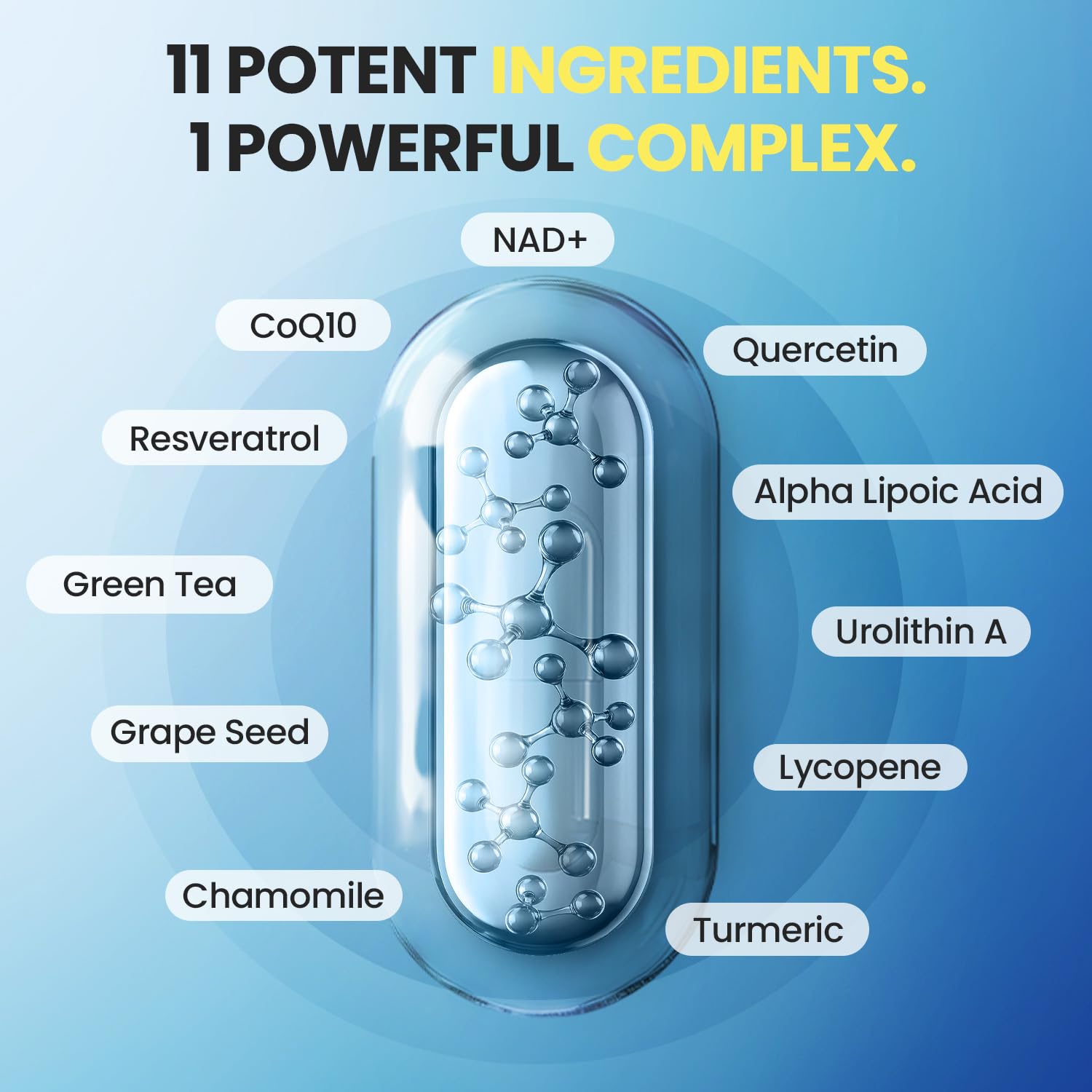 Vitamax Extrait de pépins de raisin – Capsules, antioxydants naturels.