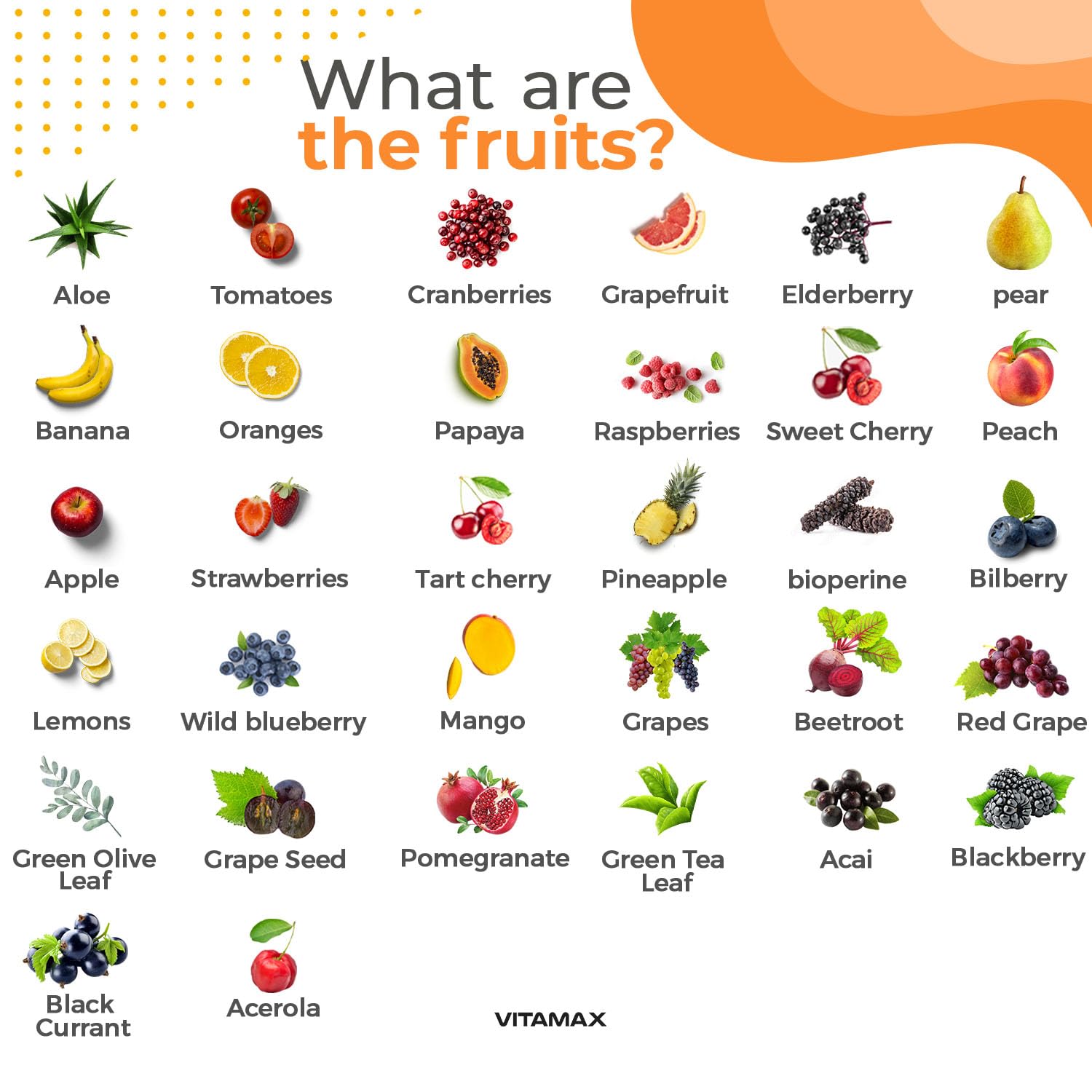 Vitamax – tableau d'ingrédients ultra-purs pour une nutrition complète.