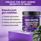 Gommes Vitamax utilisation quotidienne : énergie et concentration soutenues.