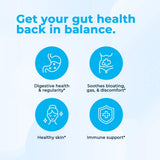 VitaMedica Daily Balance Probiotic-8 – Gélules cellulose faciles à avaler pour routine quotidienne