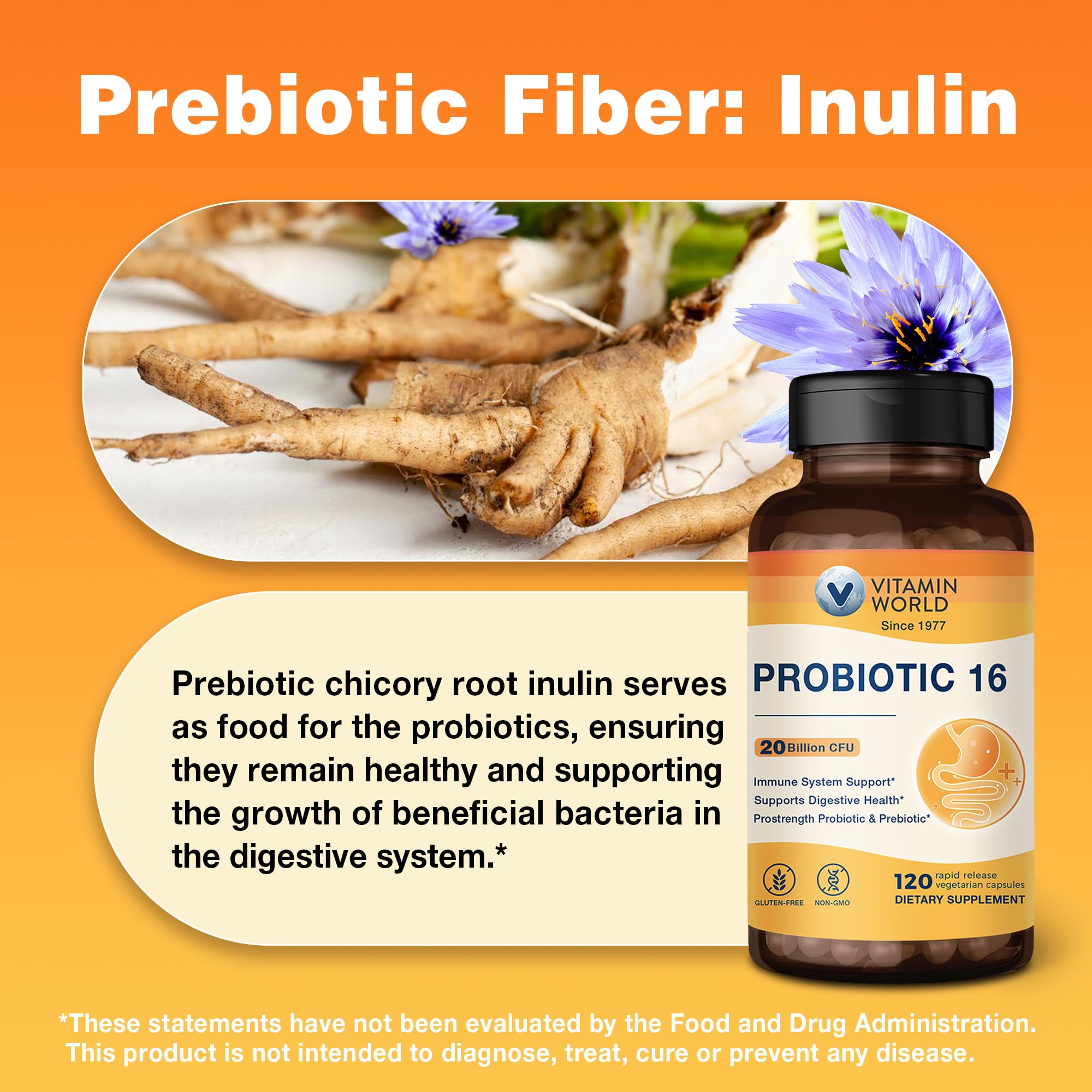 Vitamin World Probiotic – 120 capsules végétales, approvisionnement sur deux mois.