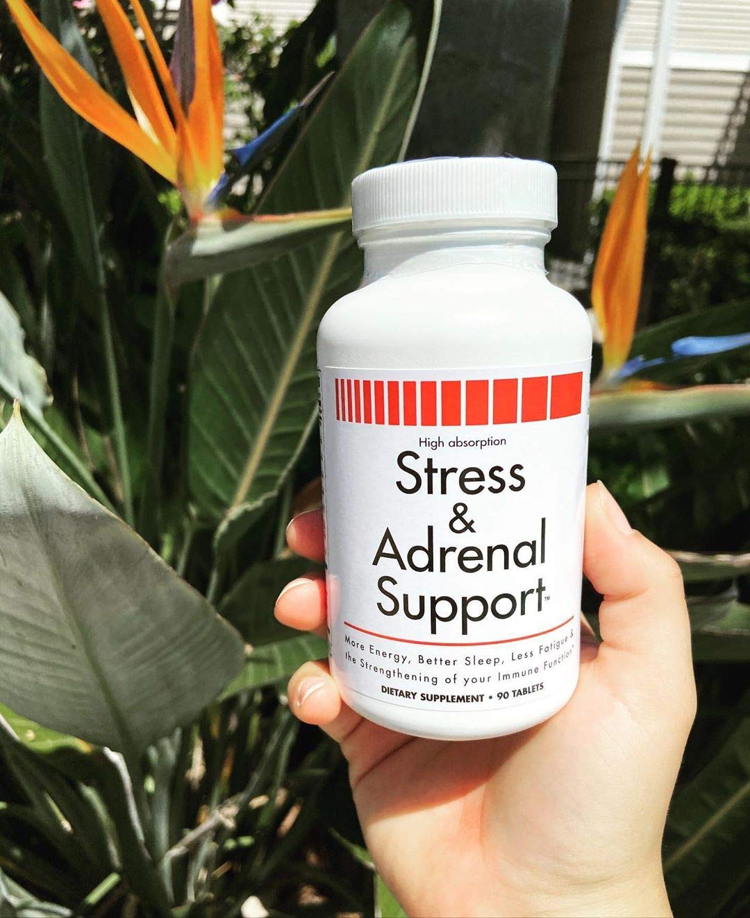 Biotine et DHEA dans VitaminMed pour le métabolisme et les hormones, sans promesse.
