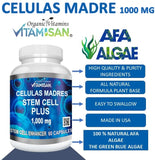 Vitamisan Celules Mères : capsules 1000 mg concentrées