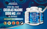 Vitamisan ingrédients AFA et Spirulina : ingrédients naturels clés