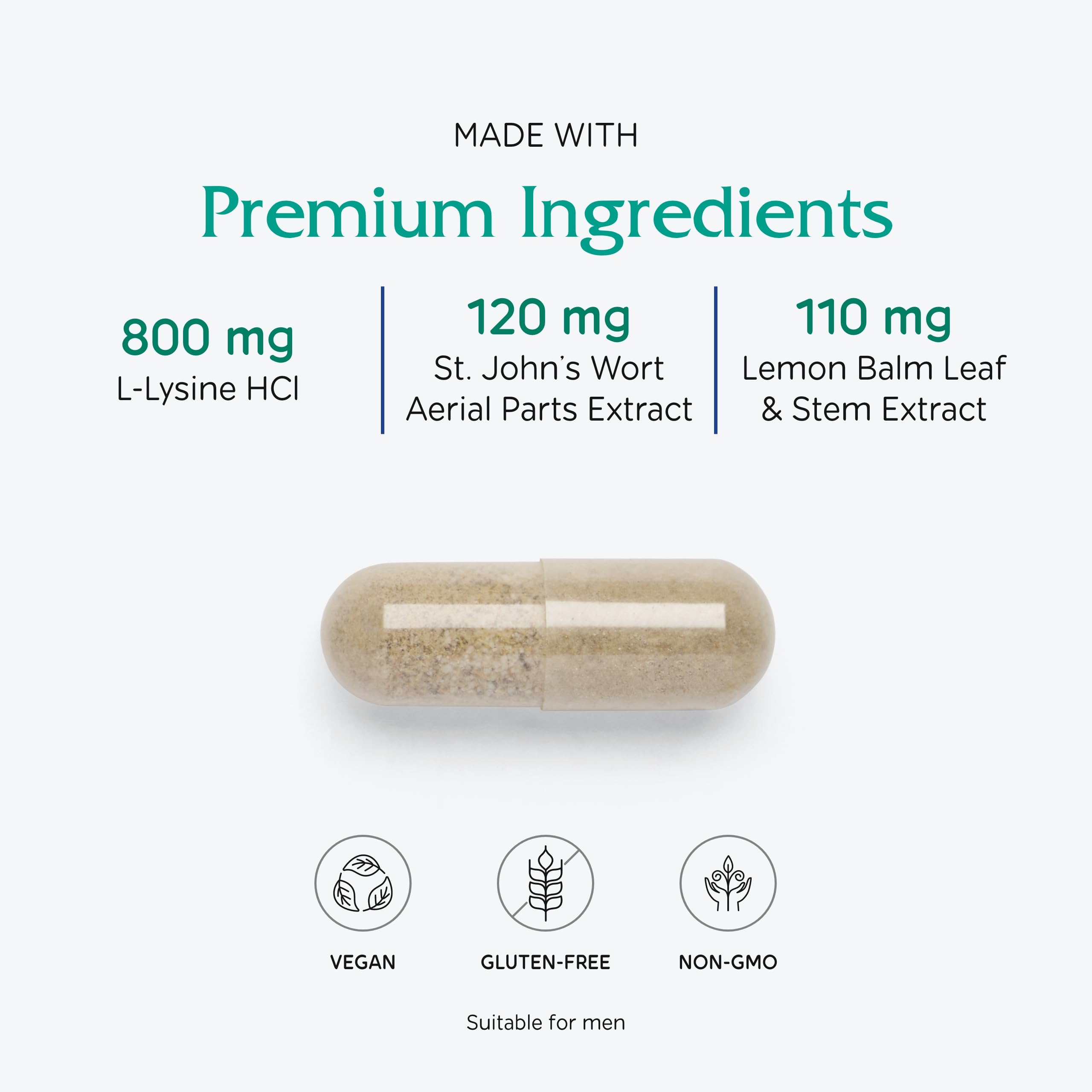 Vitanica Lysine Extra — arrière d'emballage avec informations essentielles.