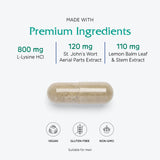 Vitanica Lysine Extra — arrière d'emballage avec informations essentielles.