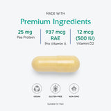 Vitanica Vegan Symmetry – proteine de pois et magnesium pour le soutien quotidien