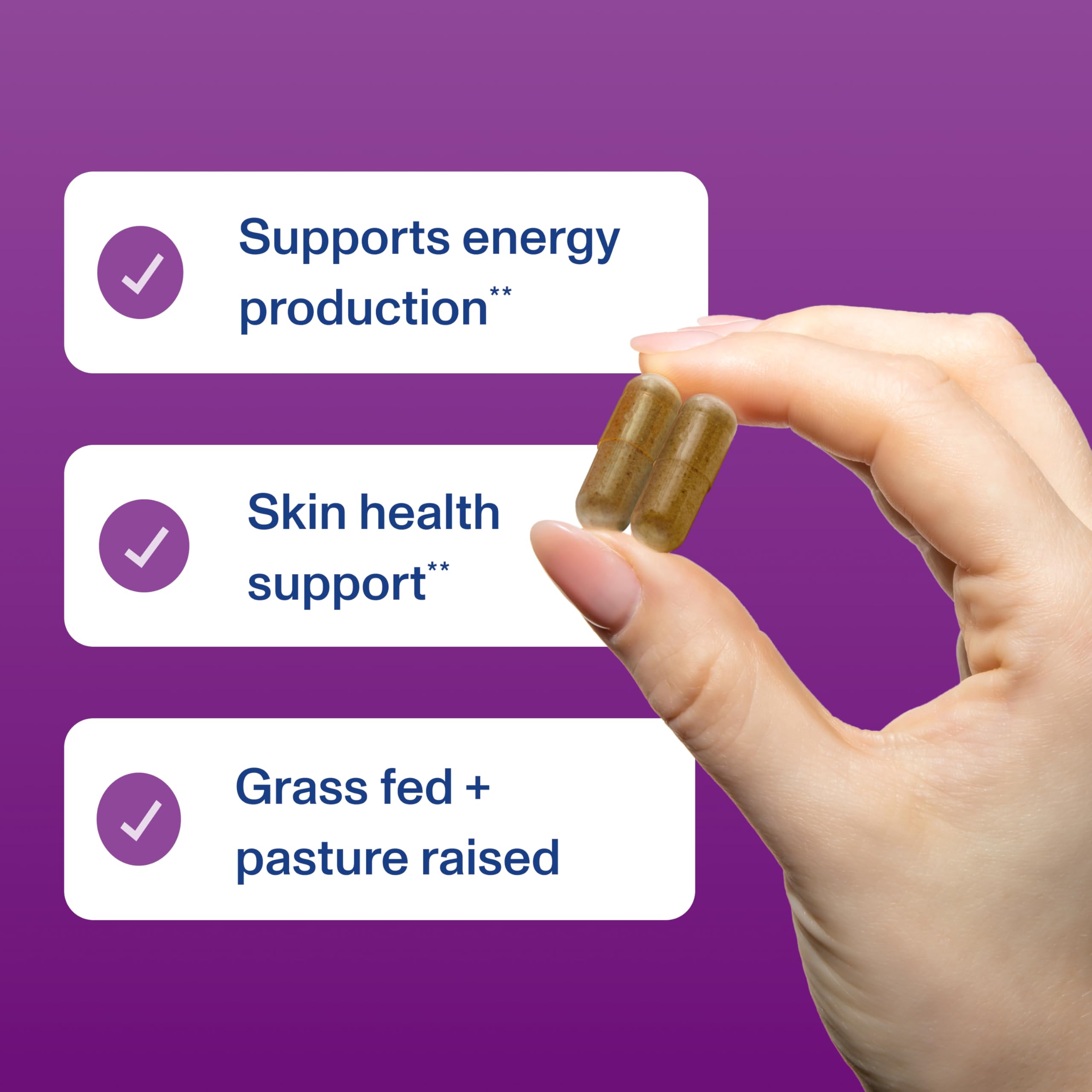 Vital Proteins gélules foie de boeuf : concentration élevée pour un apport utile