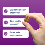 Vital Proteins gélules foie de boeuf : concentration élevée pour un apport utile
