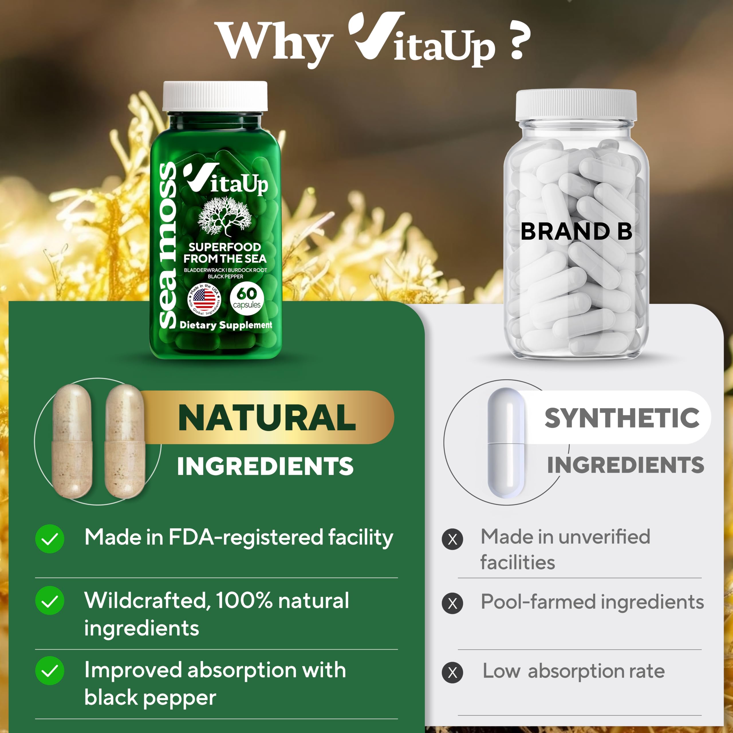Varech vésiculeux capsule VitaUp, source naturelle de nutriments